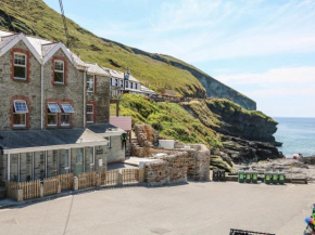 Gull Rock, Tintagel